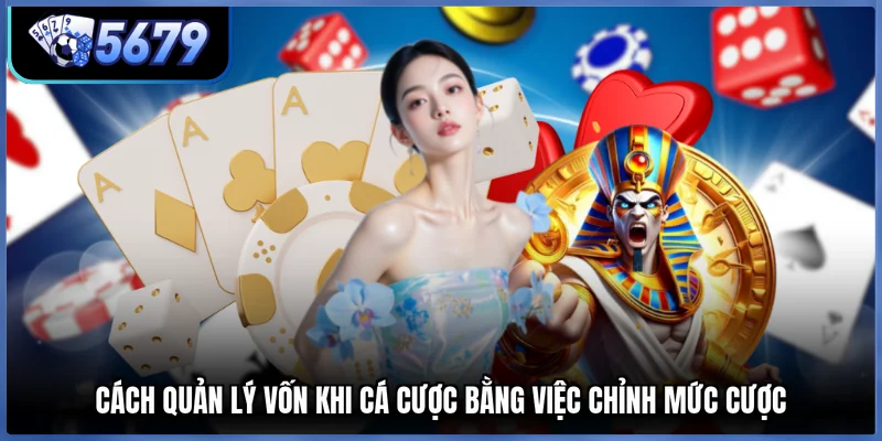 Cách quản lý vốn khi cá cược bằng việc chỉnh mức cược
