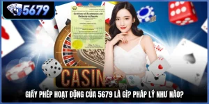 Giấy Phép Hoạt Động Của 5679 Là Gì? Pháp Lý Như Nào?